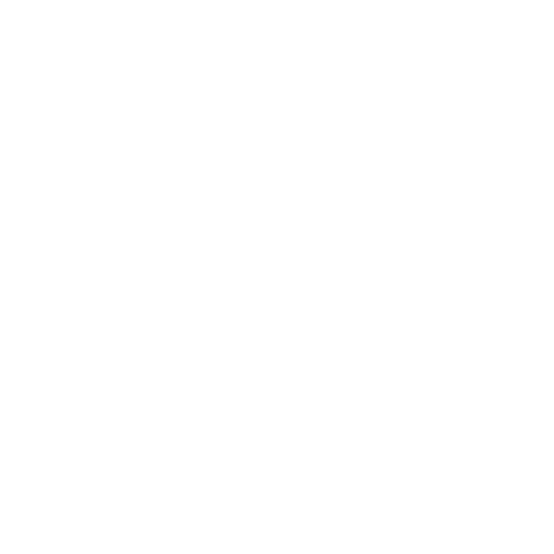 Soft99